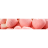 Die Gourmandes