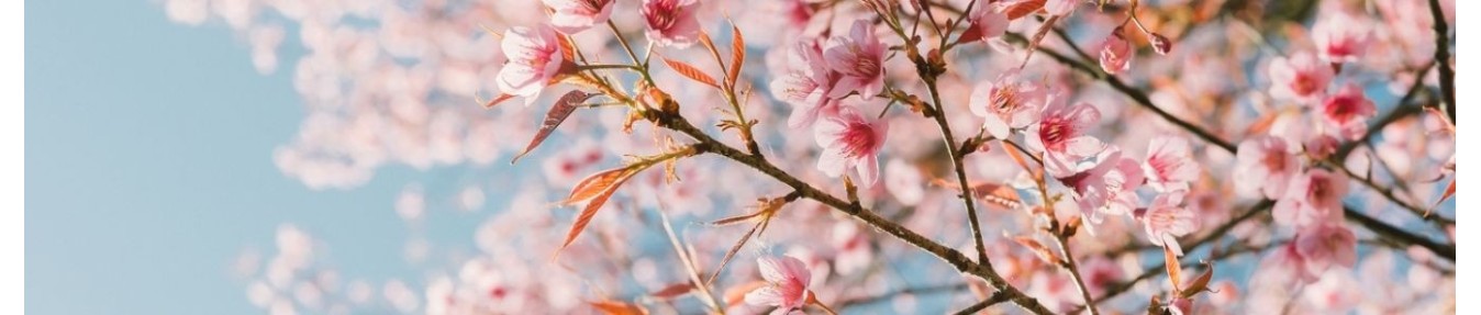 De lente vieren - Sapone & Sens