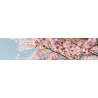 Célébrons le Printemps